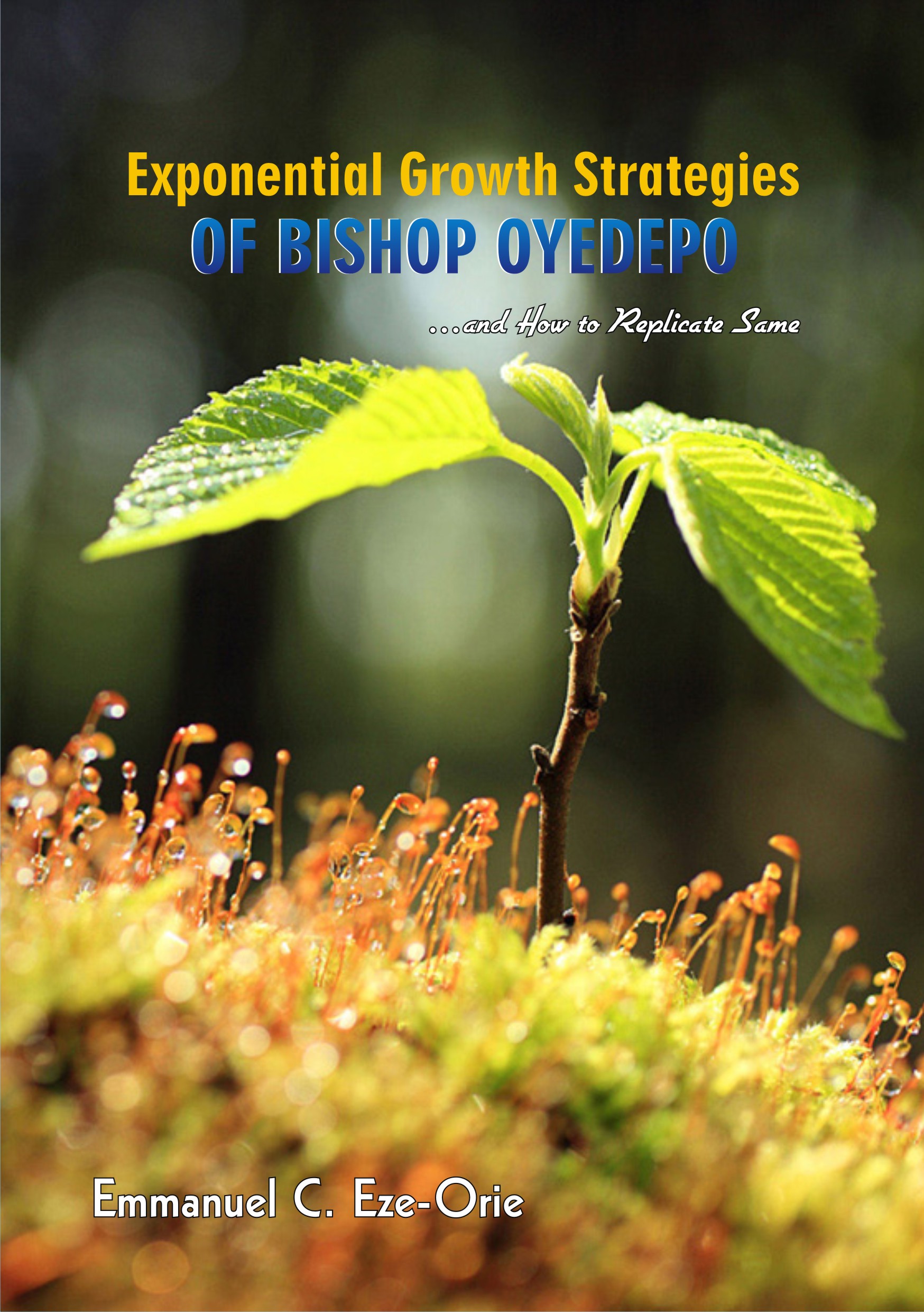 exponential growth strategies of bishop oyedepo (front cover)